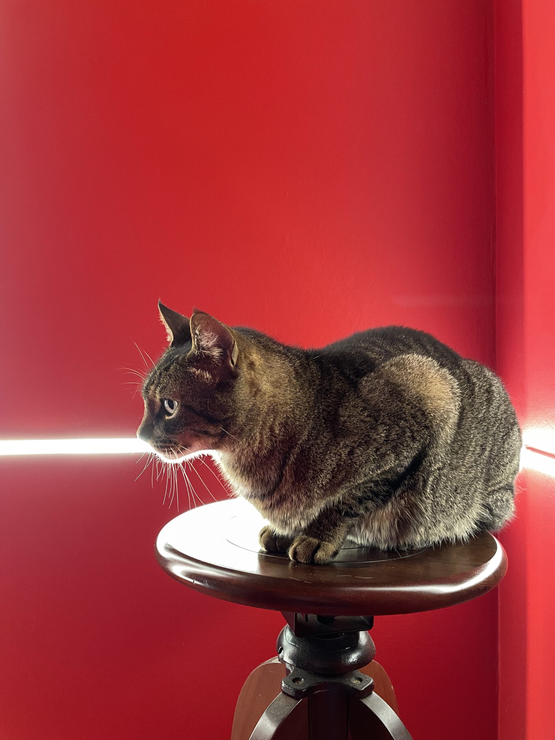 Escritório de Arquitetura em Blumenau